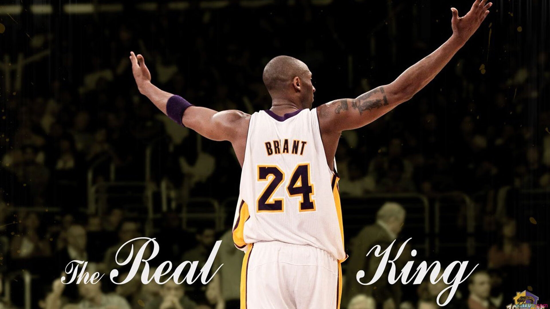 爱游戏app下载-青少年篮球成长营邀请外教担任指导融合多元训练理念，专业青少年篮球培训提供篮球服务